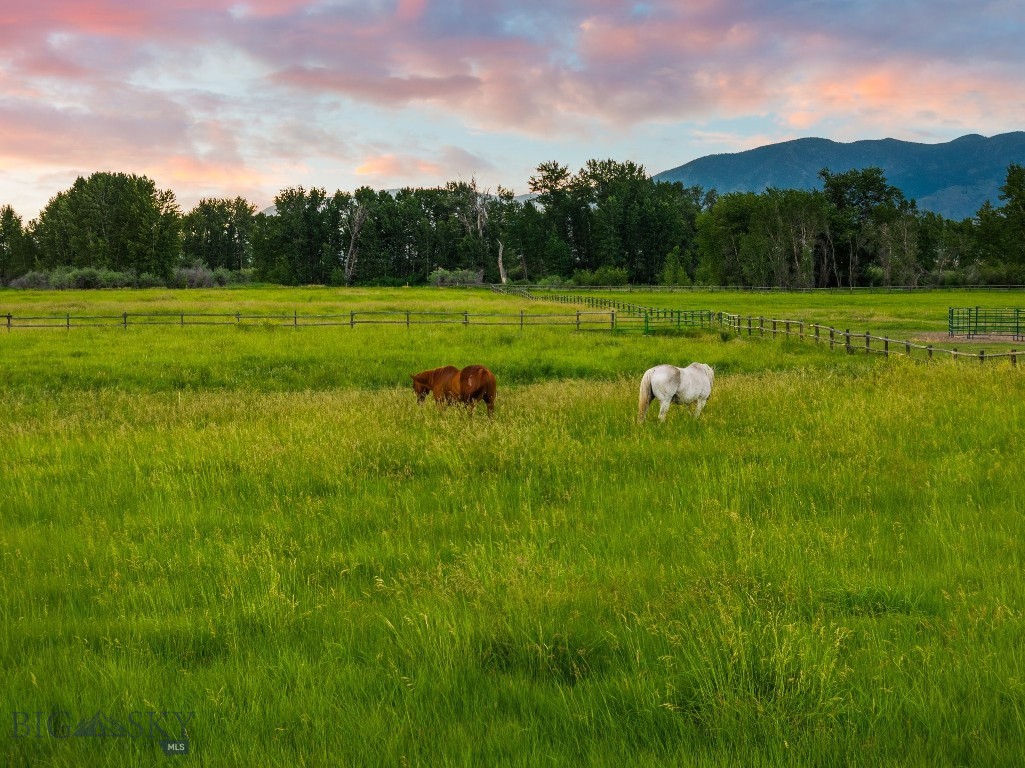 1700 Nelson Road, Bozeman MT 59718