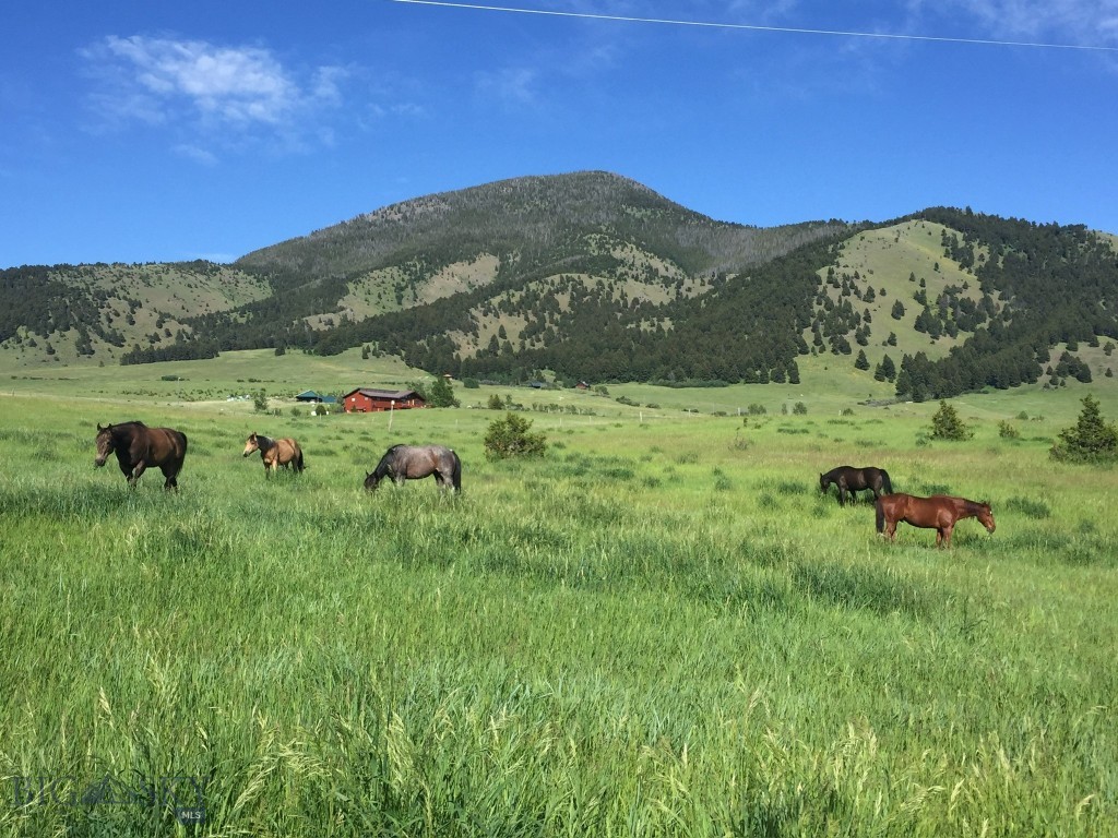 17630 Rocky Mountain Road, Belgrade MT 59714