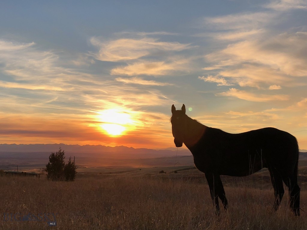 17630 Rocky Mountain Road, Belgrade MT 59714