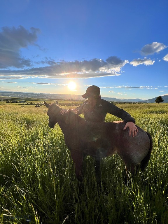 17630 Rocky Mountain Road, Belgrade MT 59714