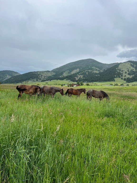 17630 Rocky Mountain Road, Belgrade MT 59714
