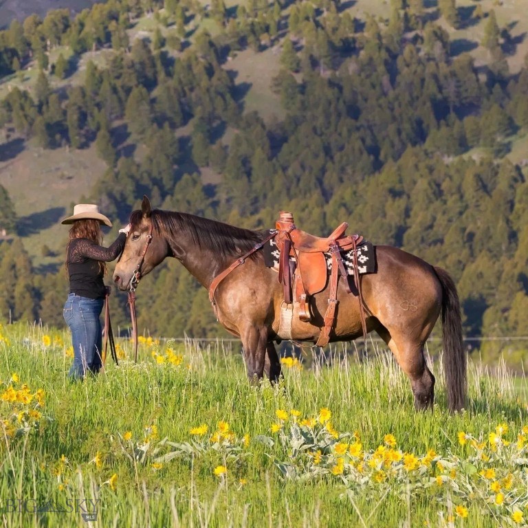 17630 Rocky Mountain Road, Belgrade MT 59714