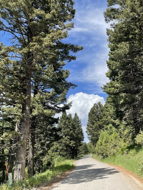 18 Blue Camas Road, Bozeman MT 59715