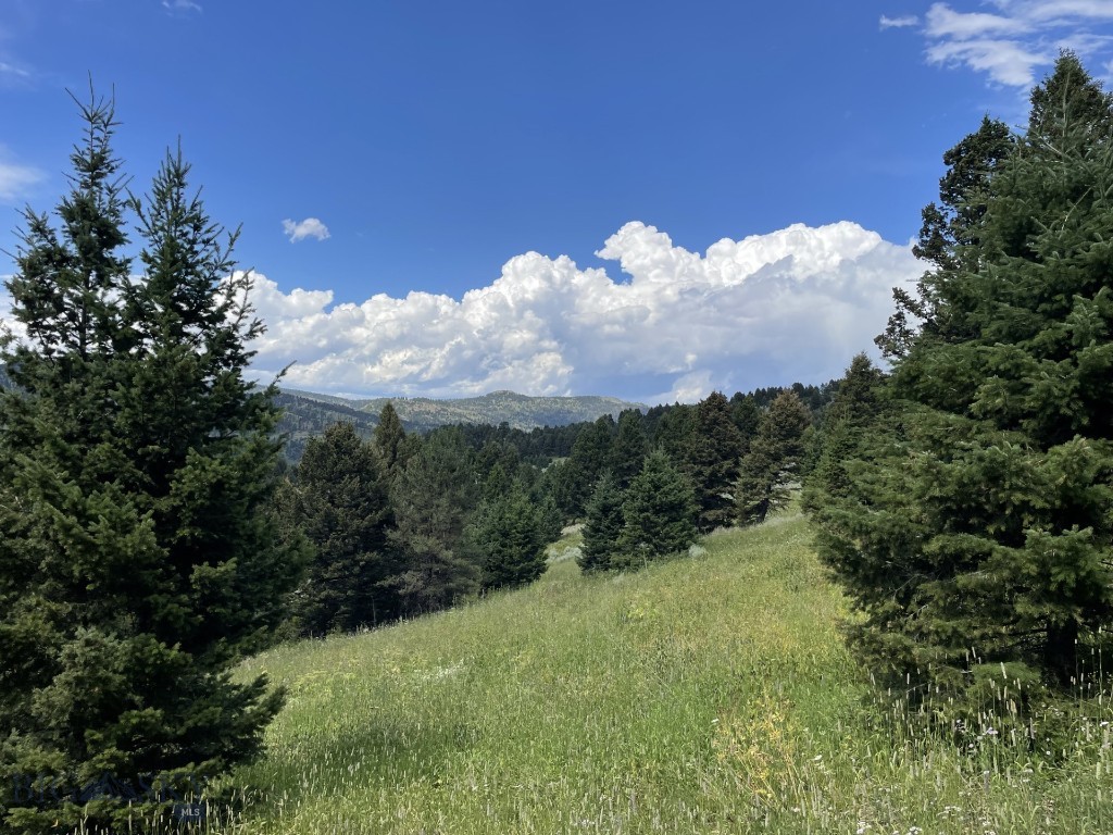 18 Blue Camas Road, Bozeman MT 59715
