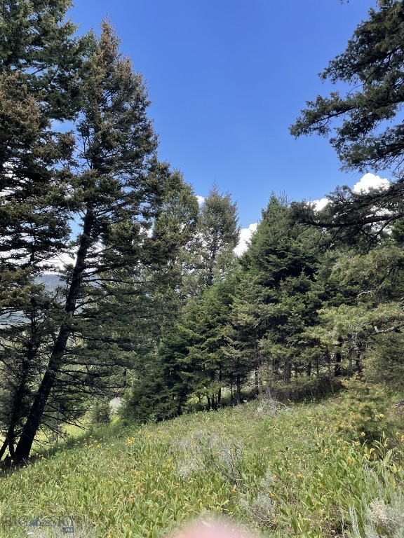 18 Blue Camas Road, Bozeman MT 59715