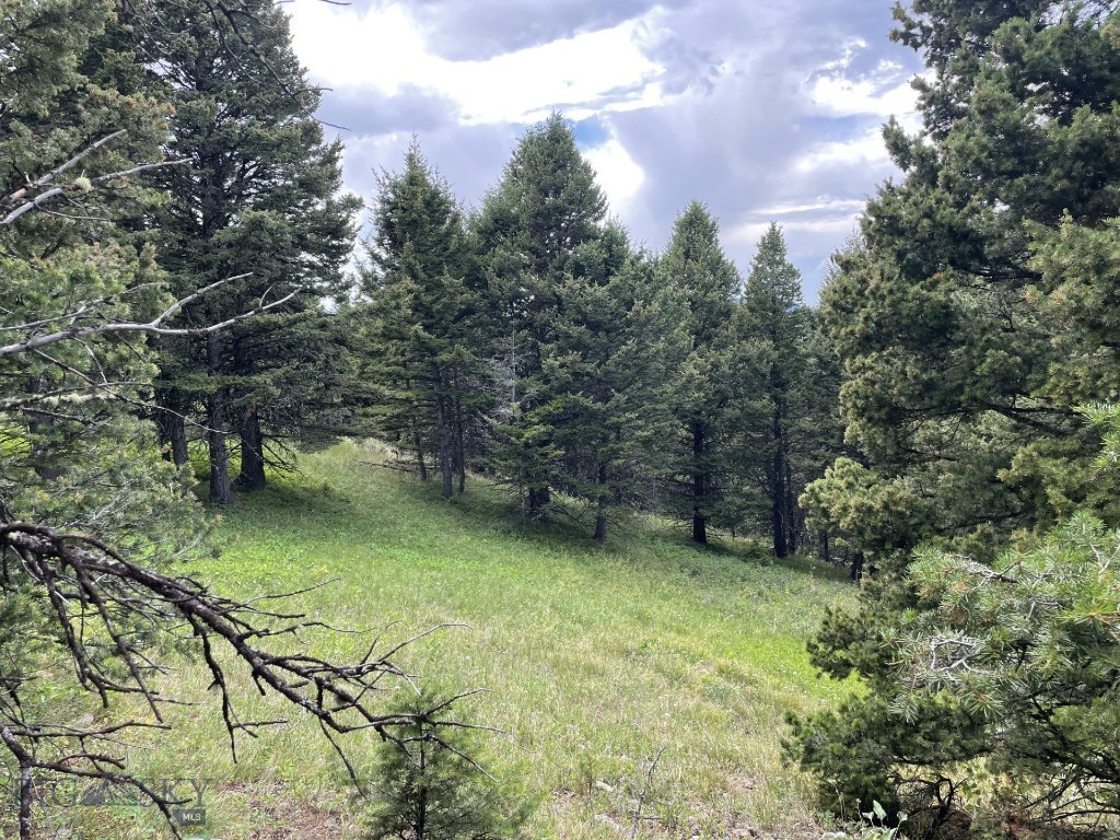 18 Blue Camas Road, Bozeman MT 59715