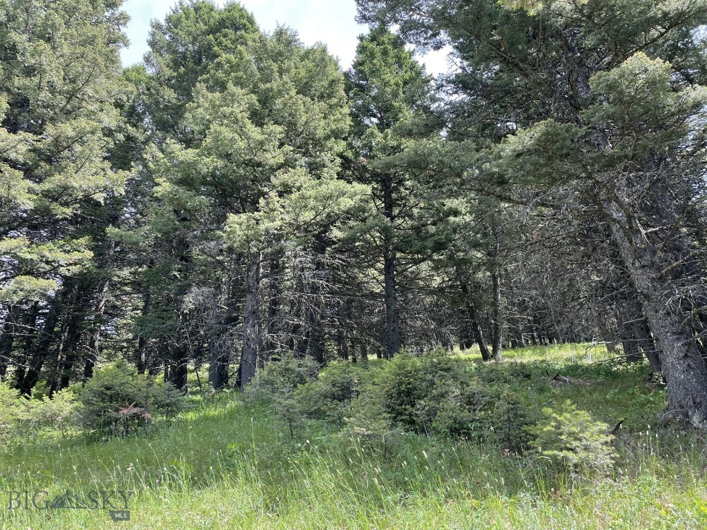 18 Blue Camas Road, Bozeman MT 59715