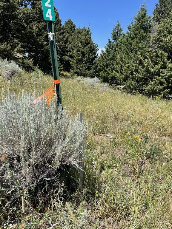 18 Blue Camas Road, Bozeman MT 59715