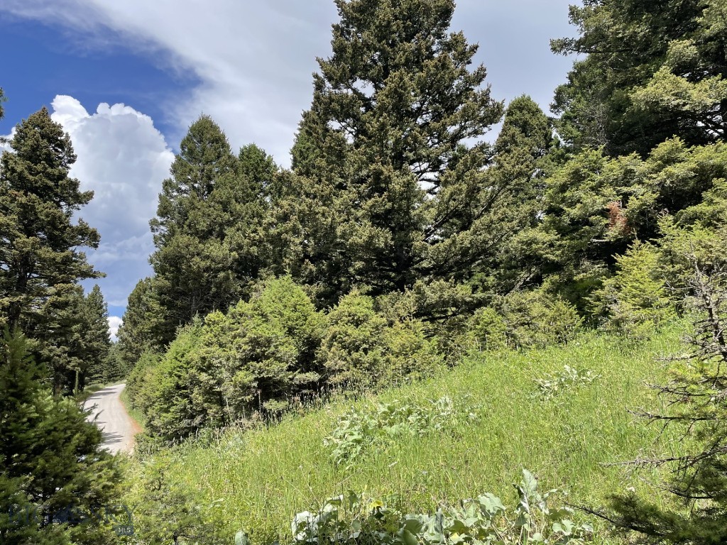 18 Blue Camas Road, Bozeman MT 59715