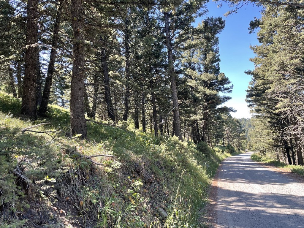 18 Blue Camas Road, Bozeman MT 59715