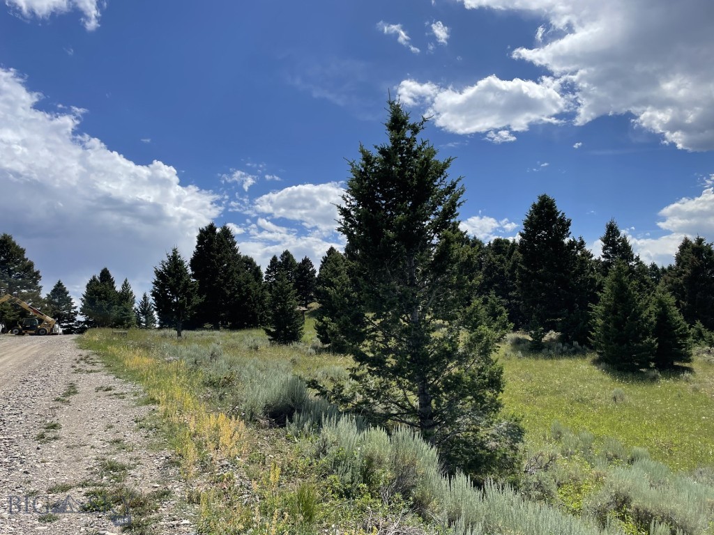 18 Blue Camas Road, Bozeman MT 59715