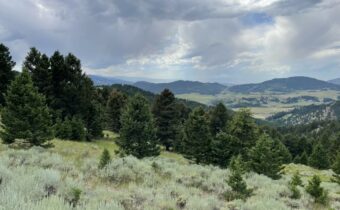 18 Blue Camas Road, Bozeman MT 59715