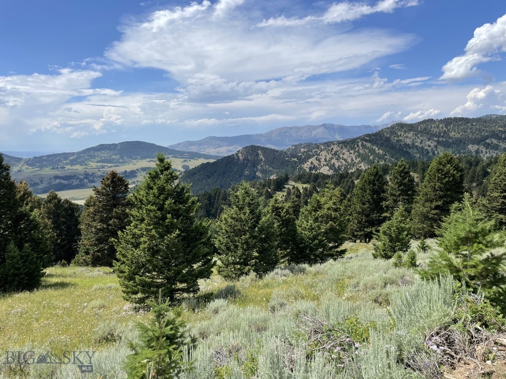 18 Blue Camas Road, Bozeman MT 59715