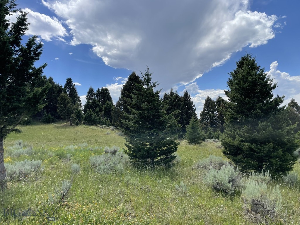 18 Blue Camas Road, Bozeman MT 59715