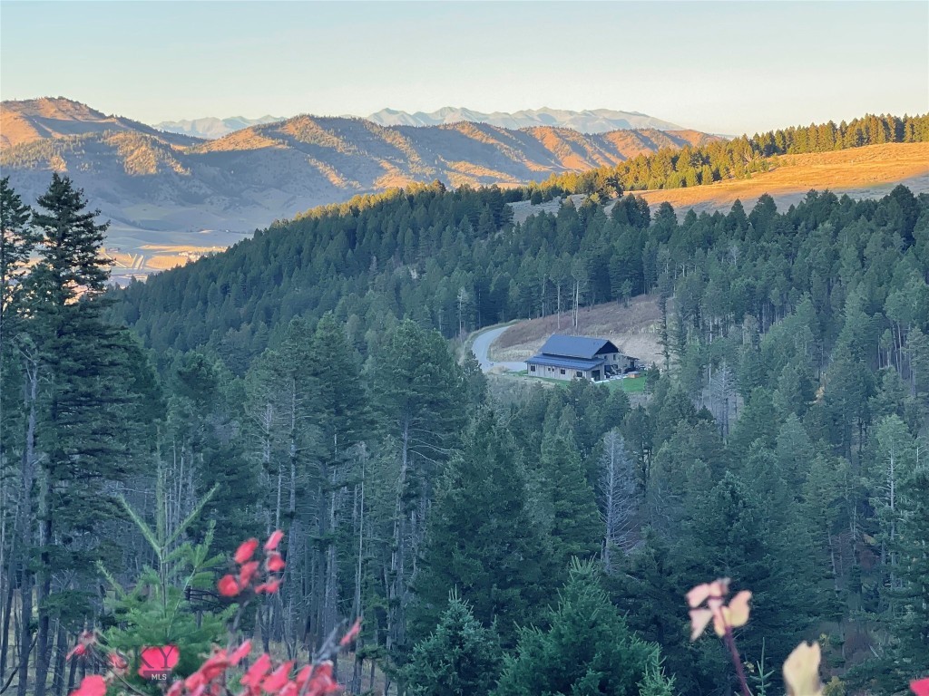 182 Elk Ridge Road, Livingston MT 59047