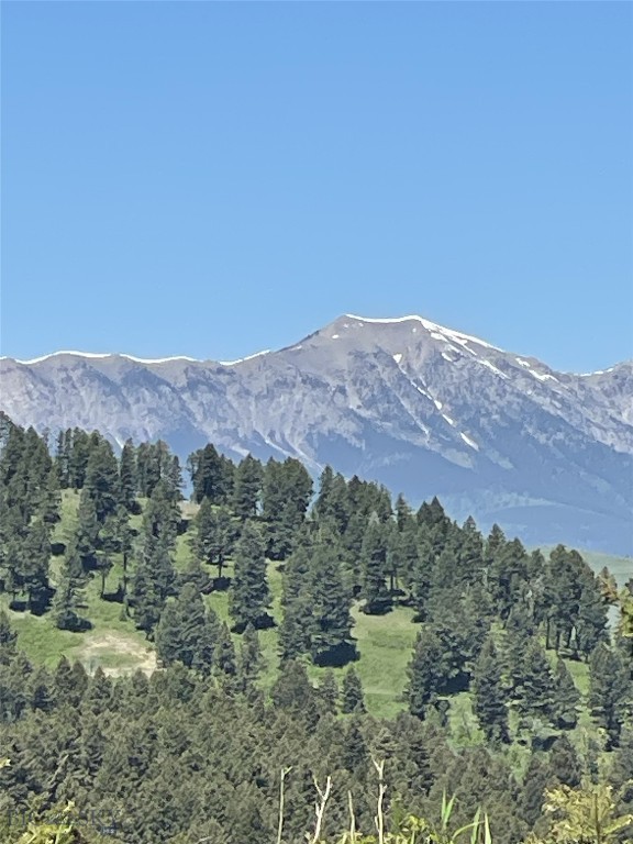 182 Elk Ridge Road, Livingston MT 59047