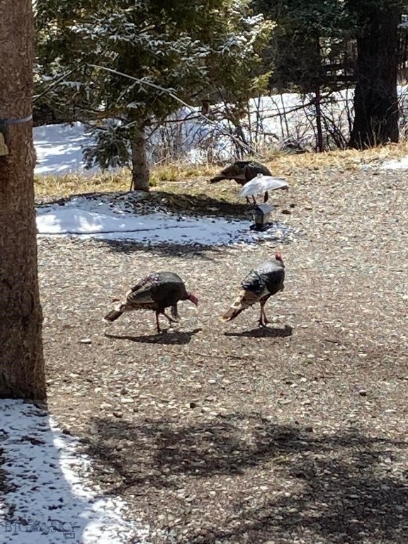 189 Quinn Creek Road, Bozeman MT 59715