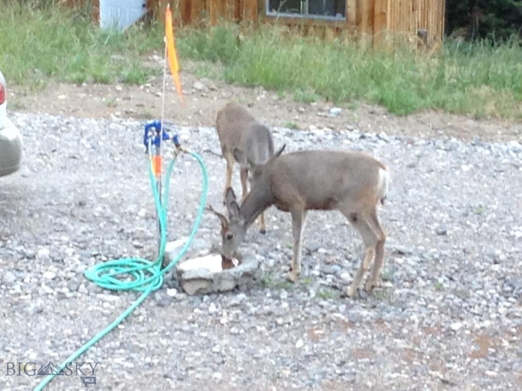 189 Quinn Creek Road, Bozeman MT 59715