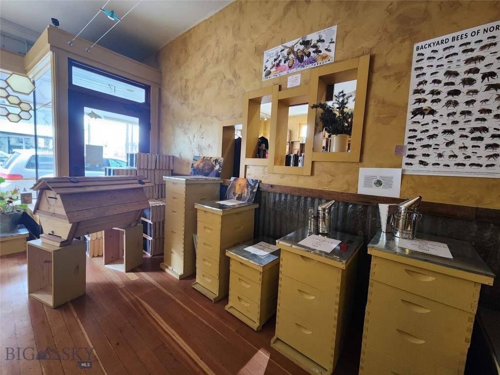 19 S Tracy, Bozeman MT 59715