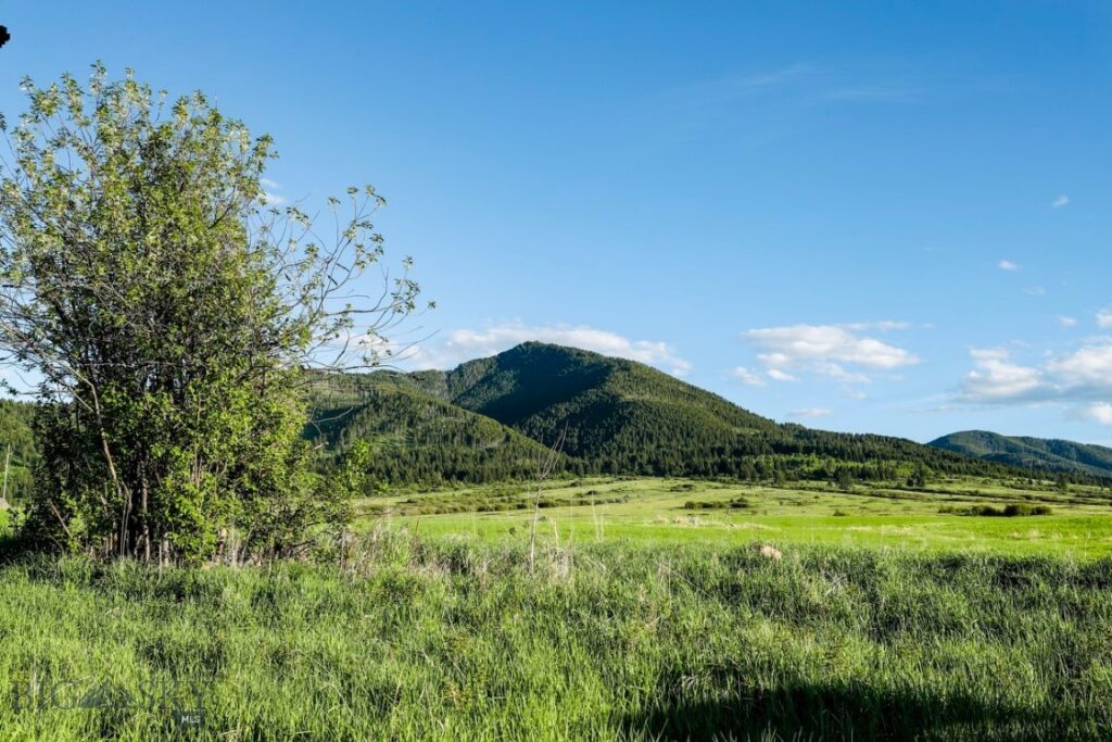 1903 Mount Ellis Lane, Bozeman MT 59715