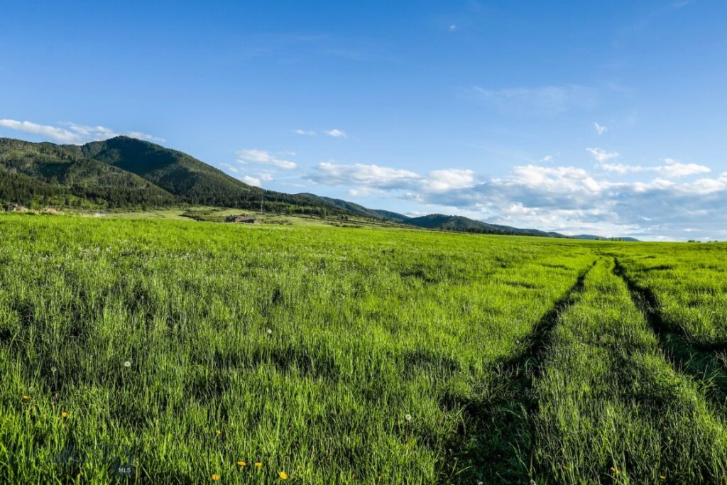 1903 Mount Ellis Lane, Bozeman MT 59715