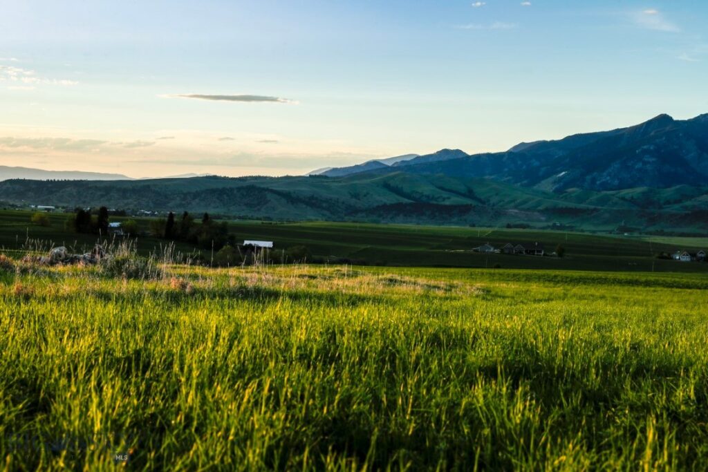 1903 Mount Ellis Lane, Bozeman MT 59715