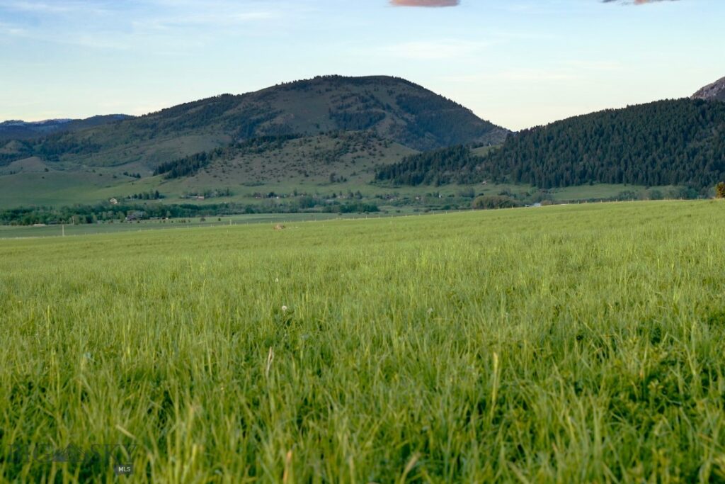 1903 Mount Ellis Lane, Bozeman MT 59715