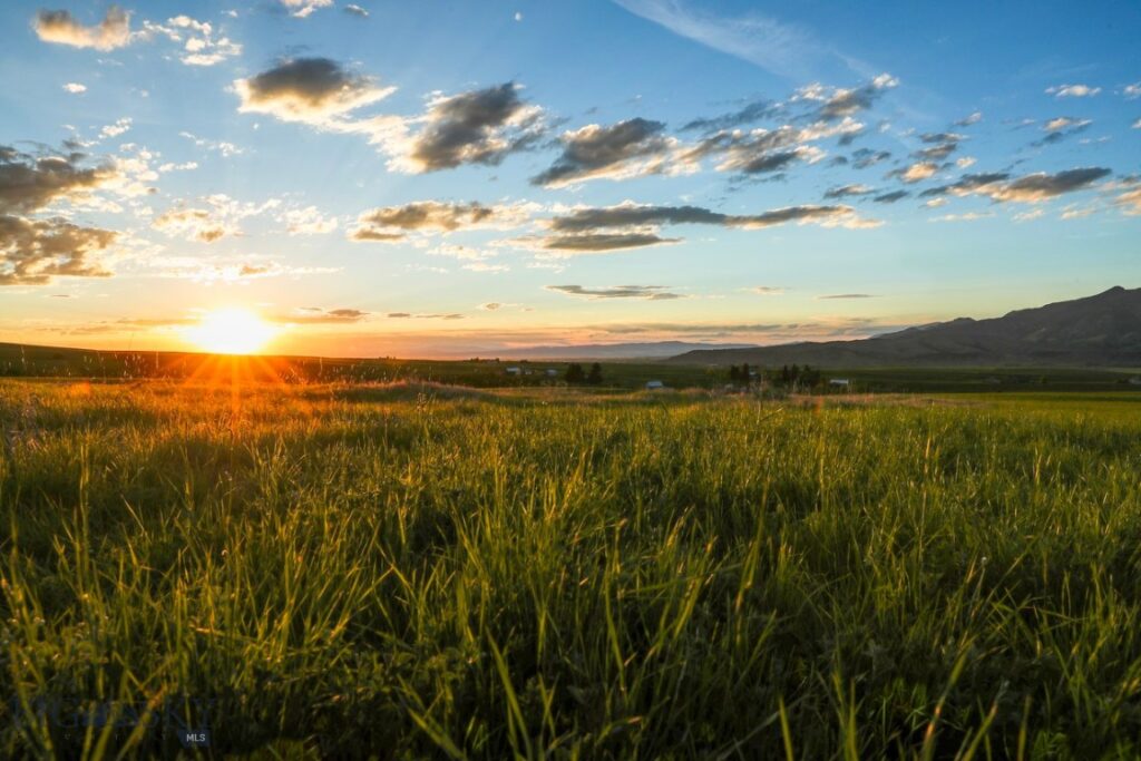 1903 Mount Ellis Lane, Bozeman MT 59715