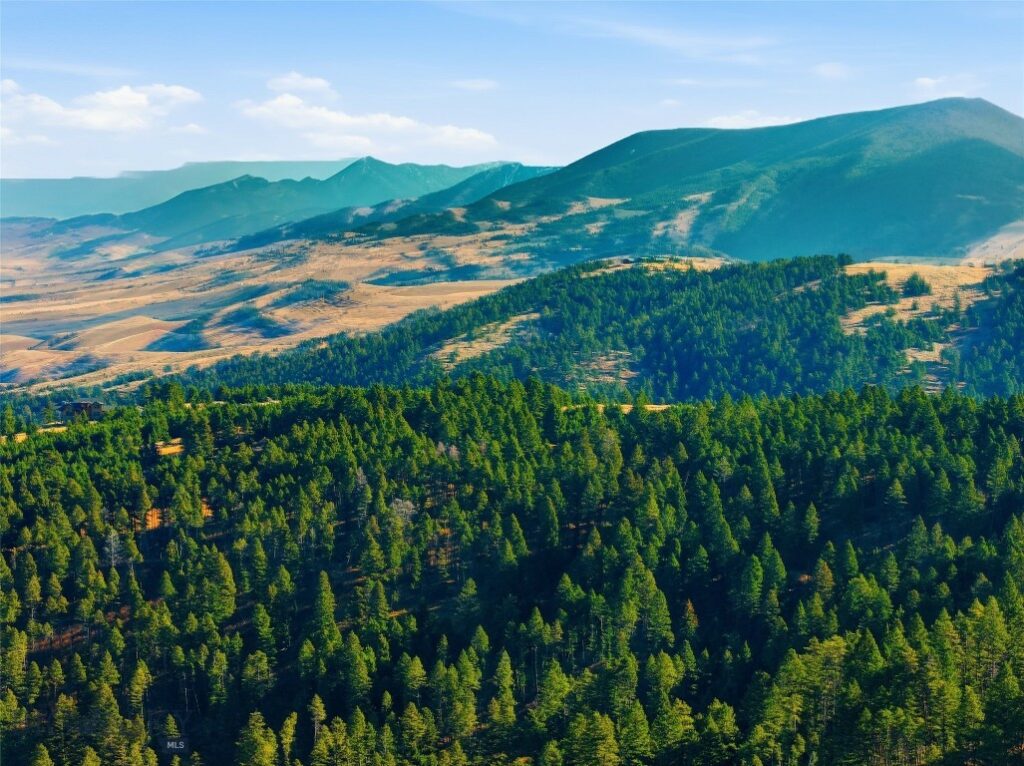 192 Mountain Brook Road, Livingston MT 59047