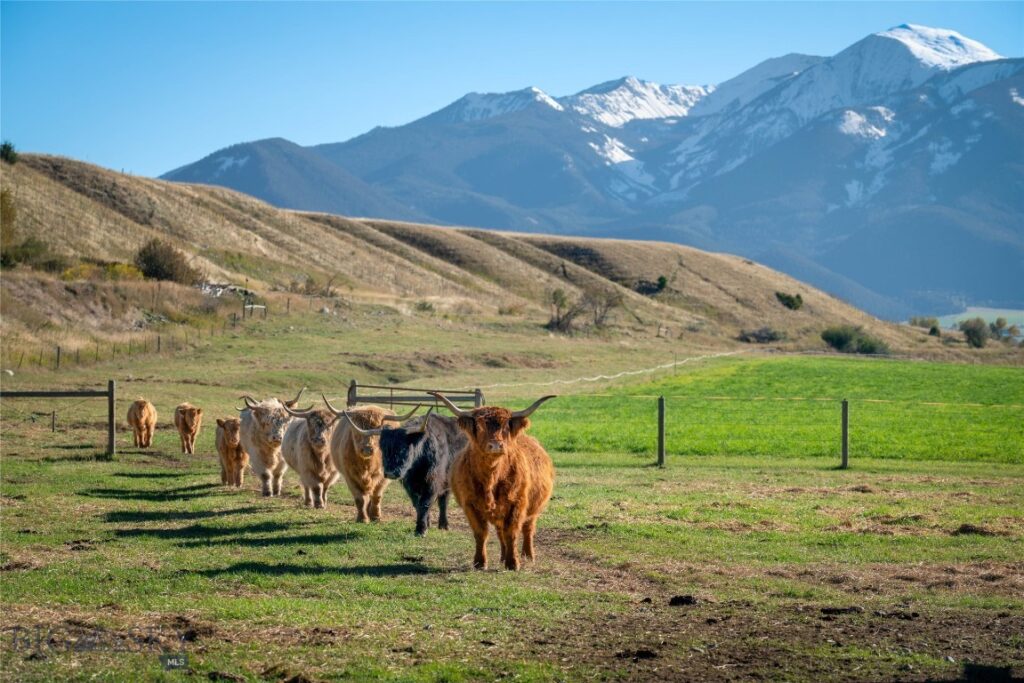 1986 E River Road, Livingston MT 59047