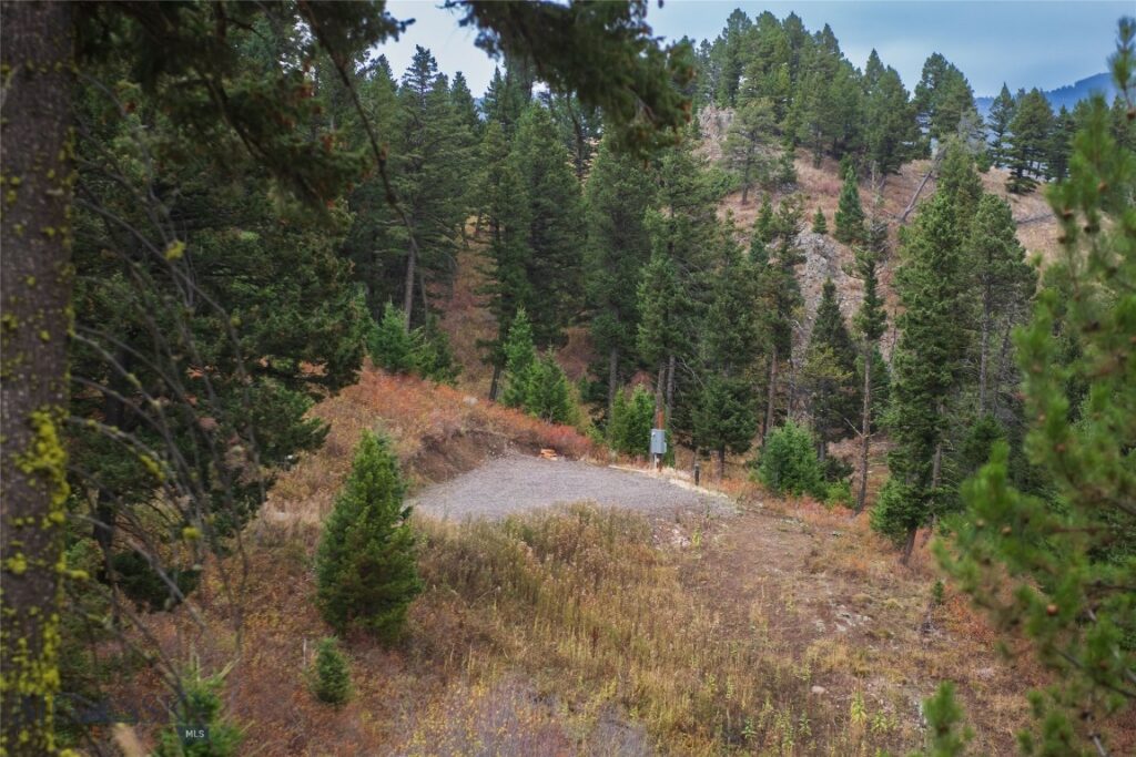 20 ac Alpine Springs Trail, Livingston MT 59047