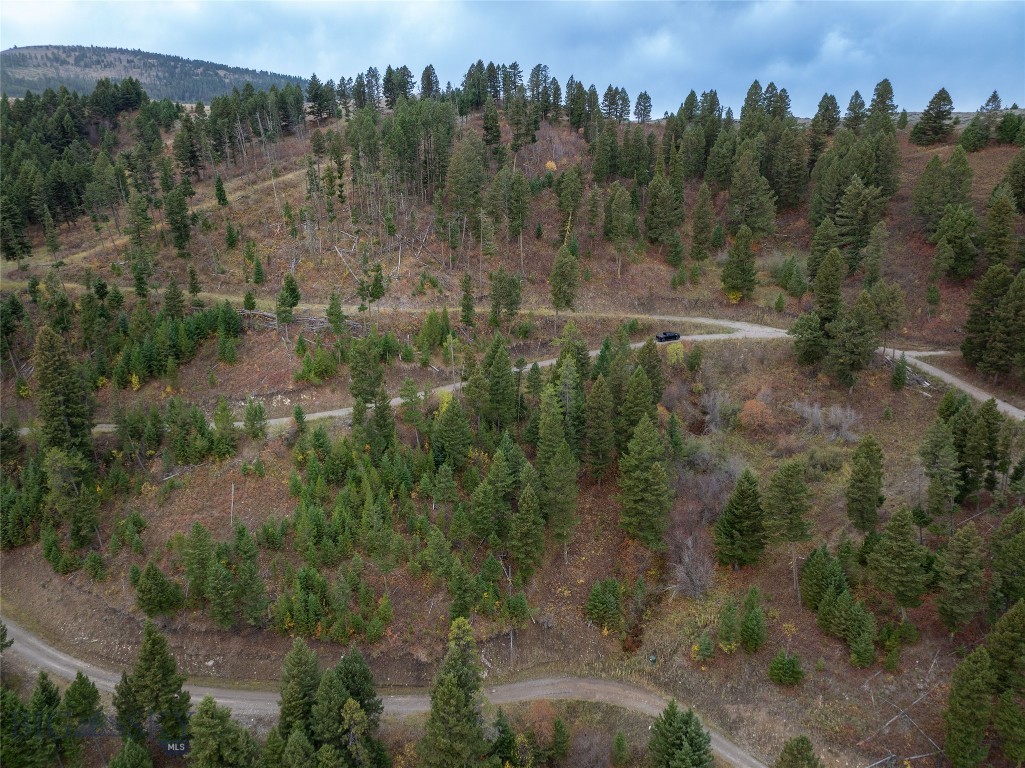 20 ac Alpine Springs Trail, Livingston MT 59047