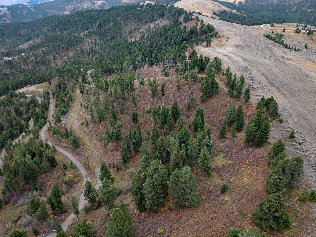 20 ac Alpine Springs Trail, Livingston MT 59047