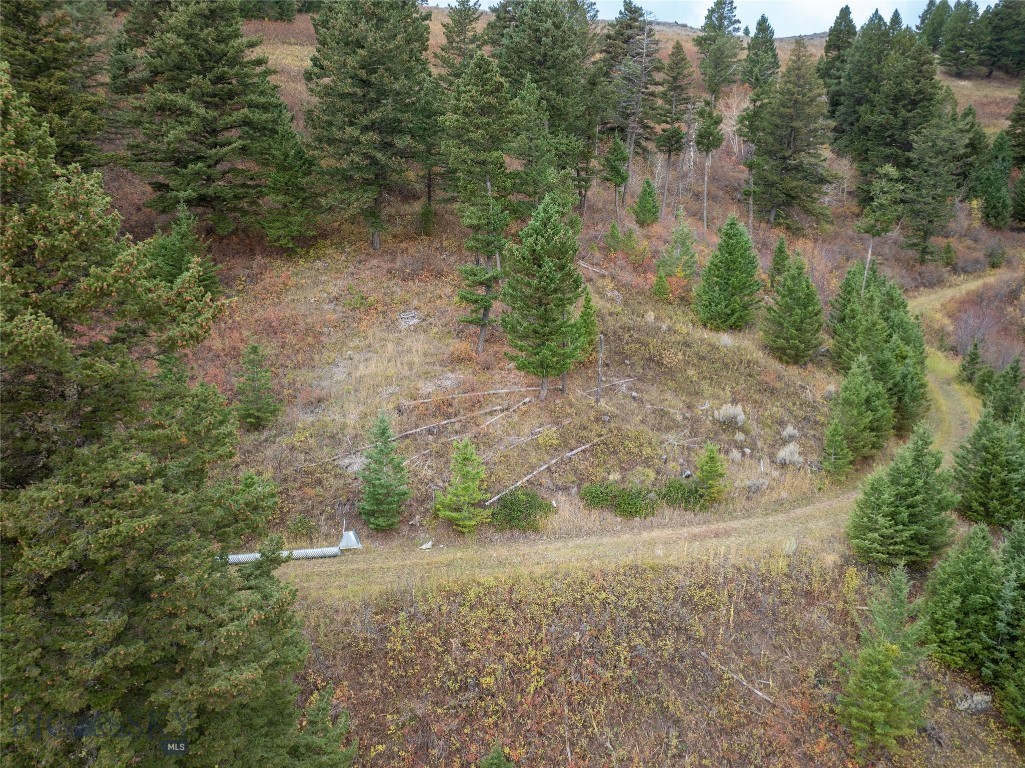20 ac Alpine Springs Trail, Livingston MT 59047