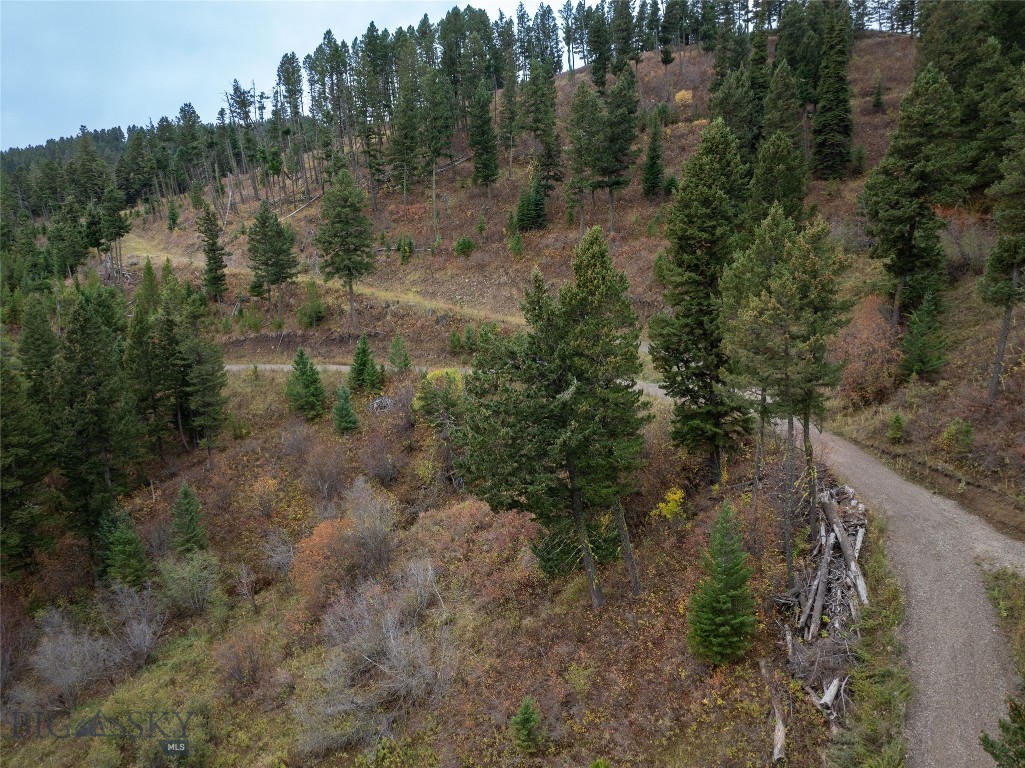 20 ac Alpine Springs Trail, Livingston MT 59047