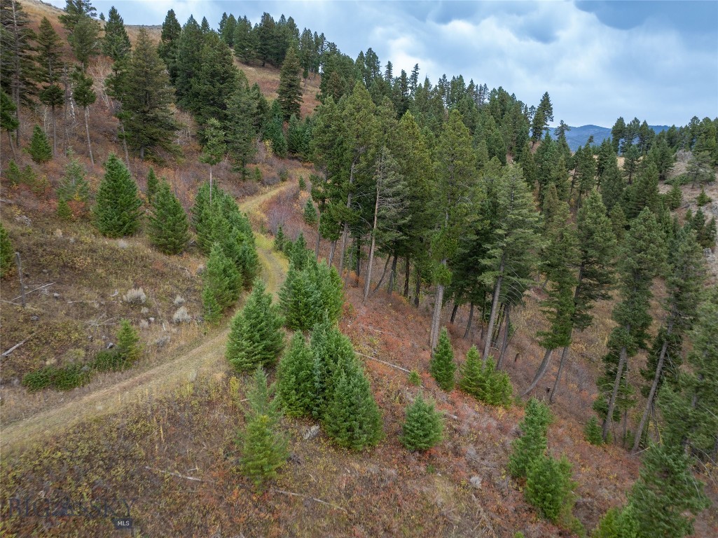 20 ac Alpine Springs Trail, Livingston MT 59047