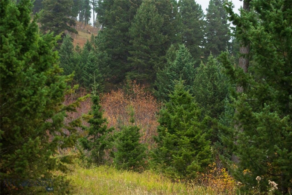 20 ac Alpine Springs Trail, Livingston MT 59047