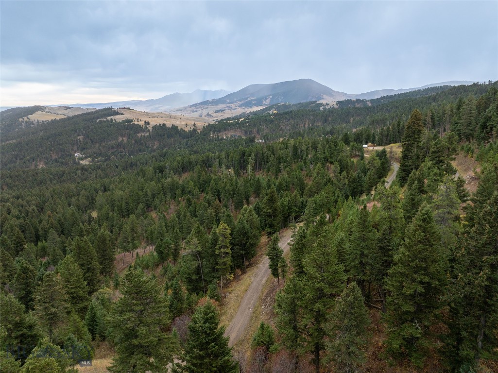 20 ac Alpine Springs Trail, Livingston MT 59047