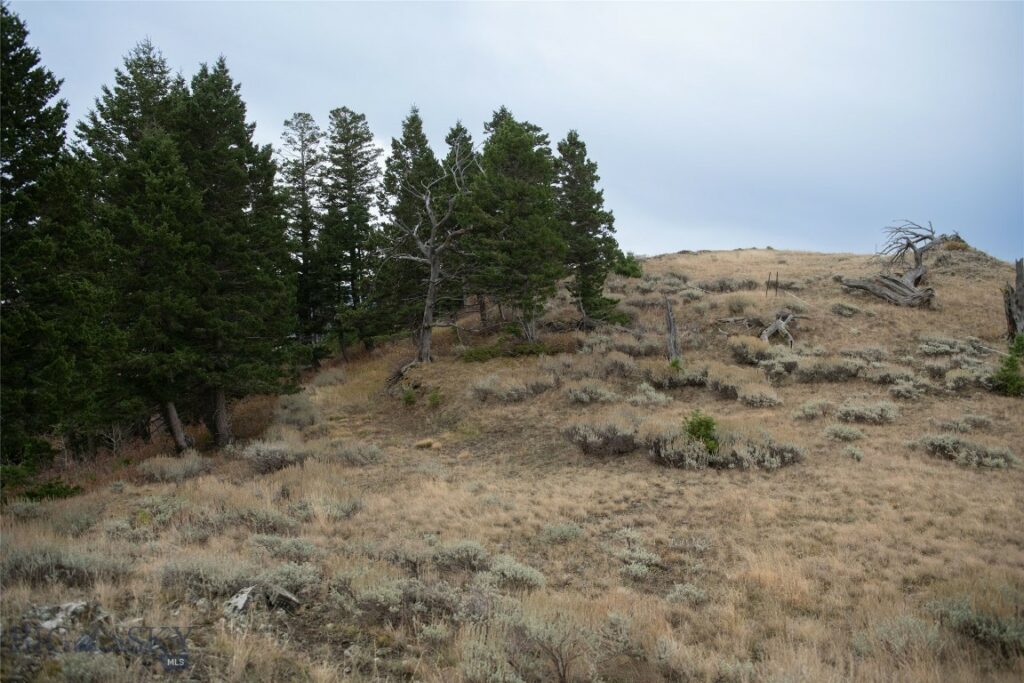 20 ac Alpine Springs Trail, Livingston MT 59047