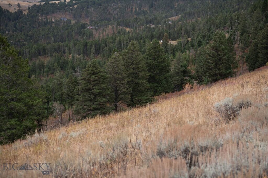 20 ac Alpine Springs Trail, Livingston MT 59047