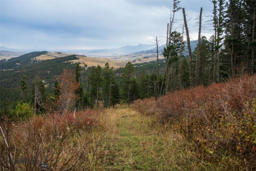 20 ac Alpine Springs Trail, Livingston MT 59047