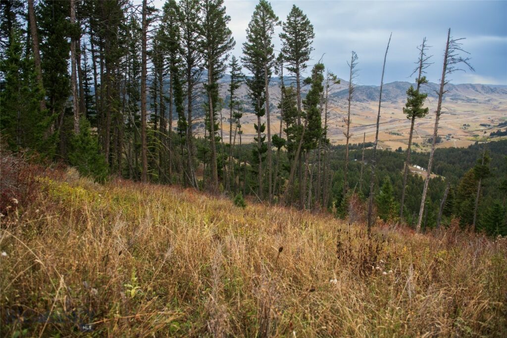 20 ac Alpine Springs Trail, Livingston MT 59047
