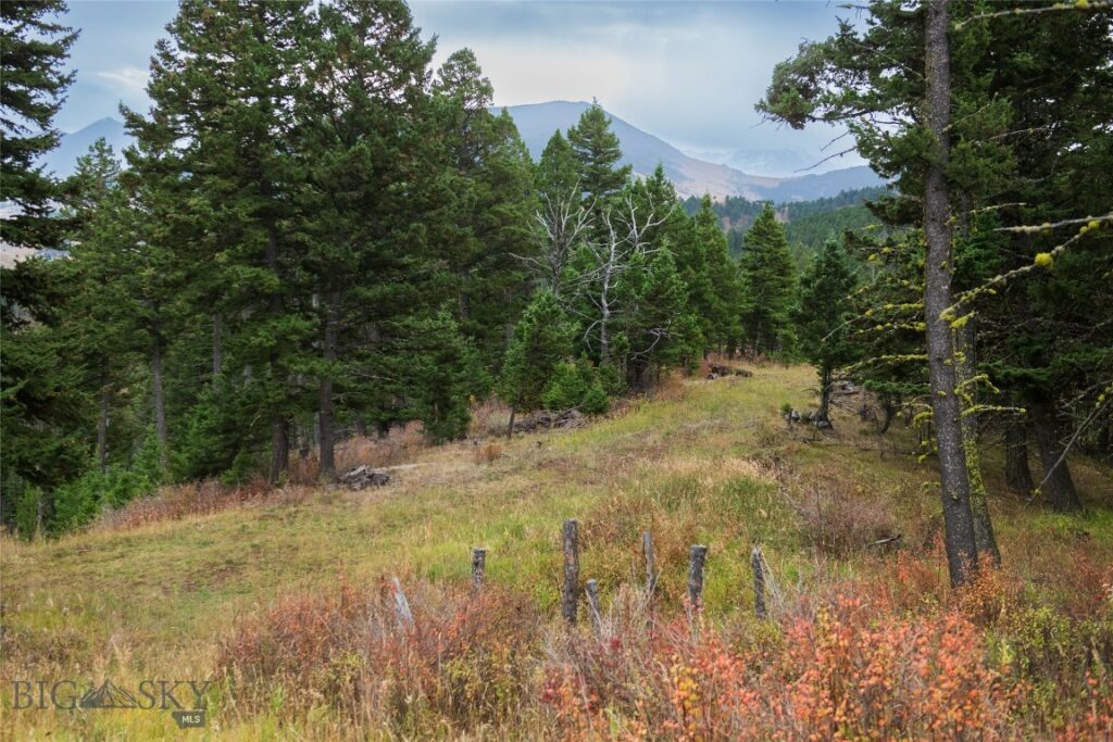 20 ac Alpine Springs Trail, Livingston MT 59047