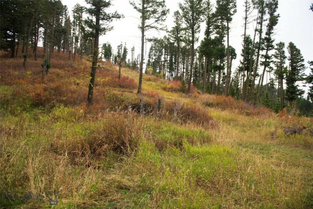 20 ac Alpine Springs Trail, Livingston MT 59047