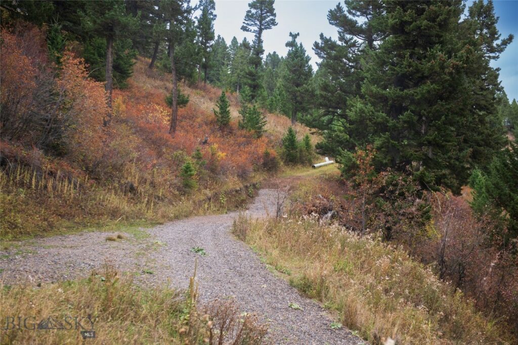 20 ac Alpine Springs Trail, Livingston MT 59047