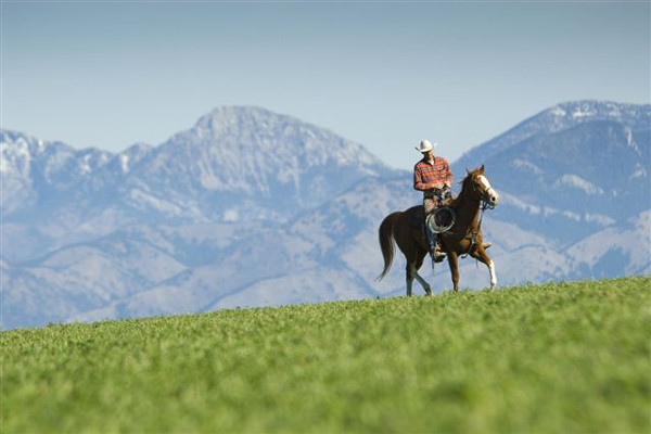 Bozeman Ranch Sold