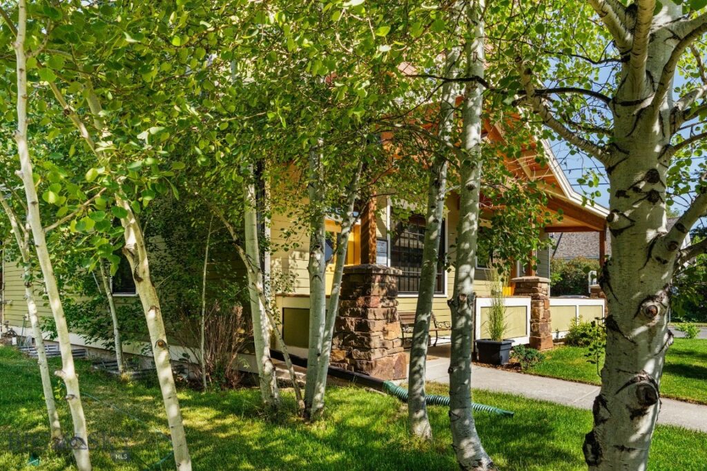 205 N Bozeman, Bozeman MT 59715