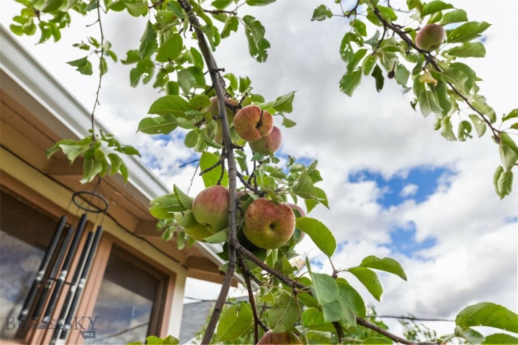 211 S E Street, Livingston MT 59047