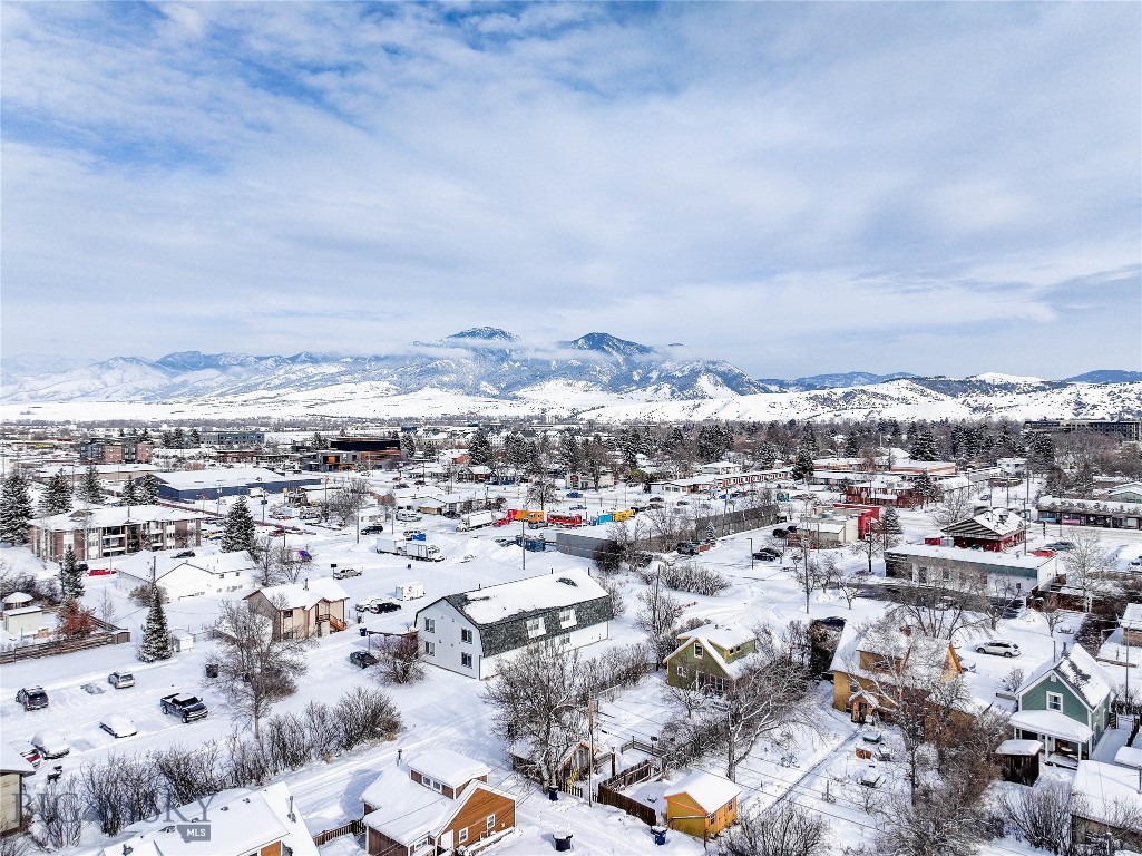 213 N 8th Avenue, Bozeman MT 59715
