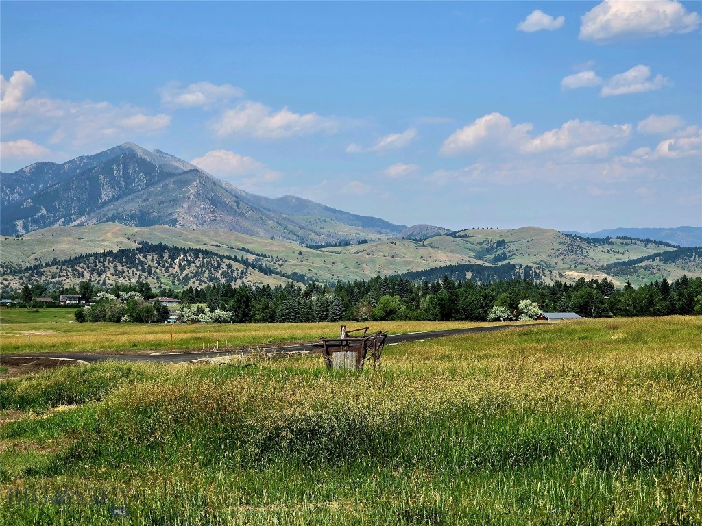 84 Golden Trout Way, Bozeman MT 59715